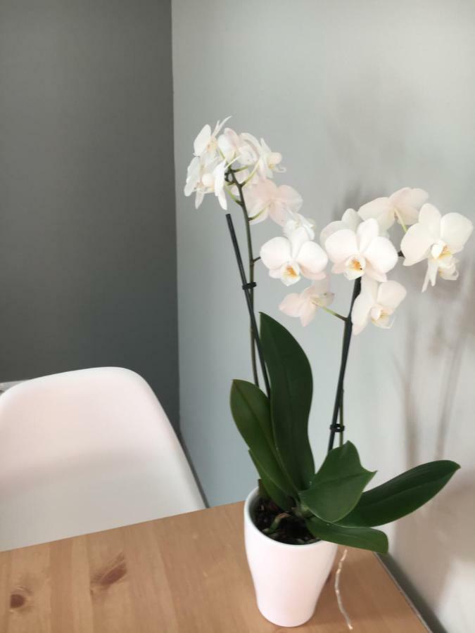 ורוצלב Apartament Easy Stay Center מראה חיצוני תמונה